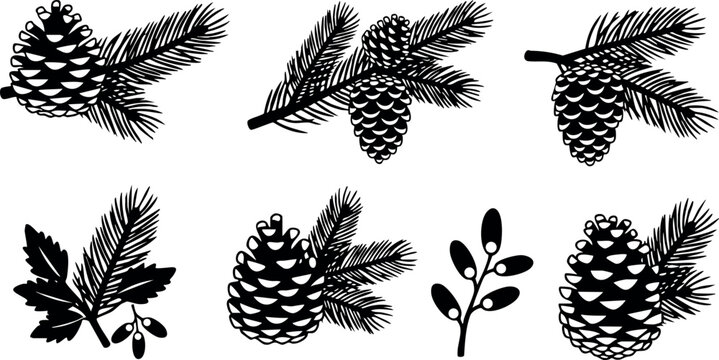 Pine cones and pine needles vector set in black and white natural botanical elements 