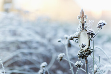 Frost covered verbena with a decorative rod ornaments in a rusted look. Atmospheric winter scene in...