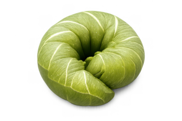 Green caterpillar curling in defensive posture, larva body forming spiral, showing growth and nature macro details