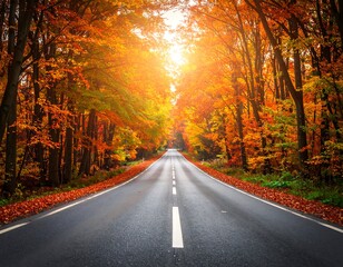 Fototapeta premium Scenic road through a vibrant autumn forest, sunlight shining brightly