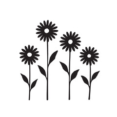 Daisies &ndash; Meaning, Types, Care, and Growing Tips
