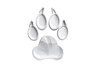 Paw print design transparent background vector illustration