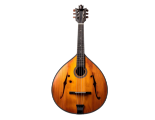 Ornate stringed instrument with transparent background for design