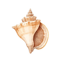 cute shell design very cool