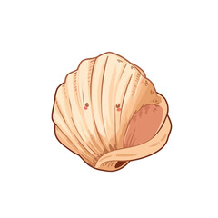 cute shell design very cool