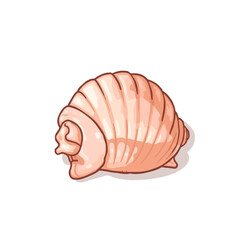 cute shell design very cool