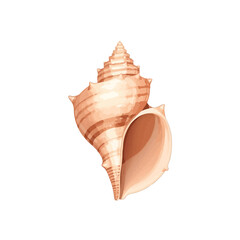 cute shell design very cool