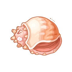 cute shell design very cool