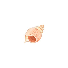 cute shell design very cool