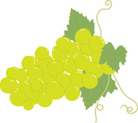 Shine Muscat Grape Bunch Illustration