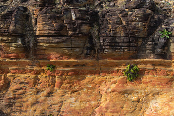 赤土の含まれた地層