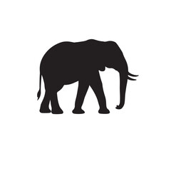 Elephant: Facts, Species, Habitat, and Conservation Guide