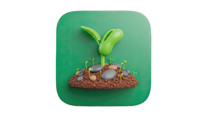 Sprout Growing from Soil with Rocks