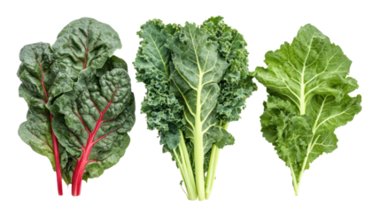 Collard greens swiss chard and kale three leafy winter crops on transparent background