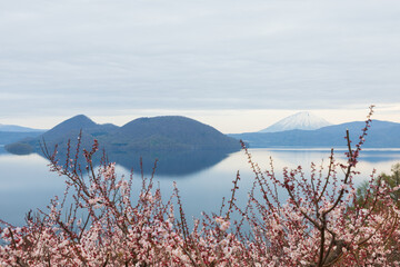 北海道壮瞥町2025春-早朝の壮瞥公園-03
