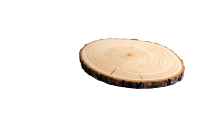 An isolated, cross-sectioned circular wood slice. The cut reveals growth rings and dark bark. It sits against a black background