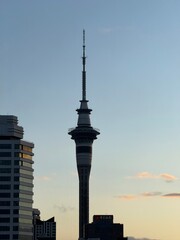 Obraz premium Sky Tower Silhouette at Sunset in Auckland