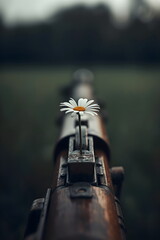 Conceptual Macro Photography of White Daisy Flower Placed in Vintage Rifle Mechanism Symbolizing Peace