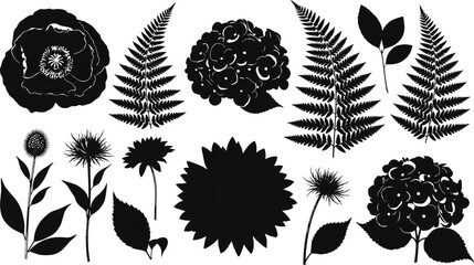 Set of detailed floral silhouettes, black poppy fern sunflower and hydrangea nature collection, botanical garden elements, cad drawing flat vector illustration. © Momotaj