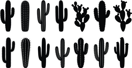 Set of different desert cactus silhouettes, Mexican succulent plants with sharp spines, botanical collection, cad drawing flat vector illustration.