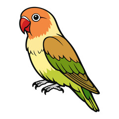 Fototapeta premium Cinnamon Lovebird