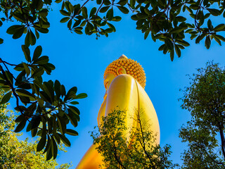 木々の隙間から見上げるワット・パークナムの金色の大仏　タイのバンコク