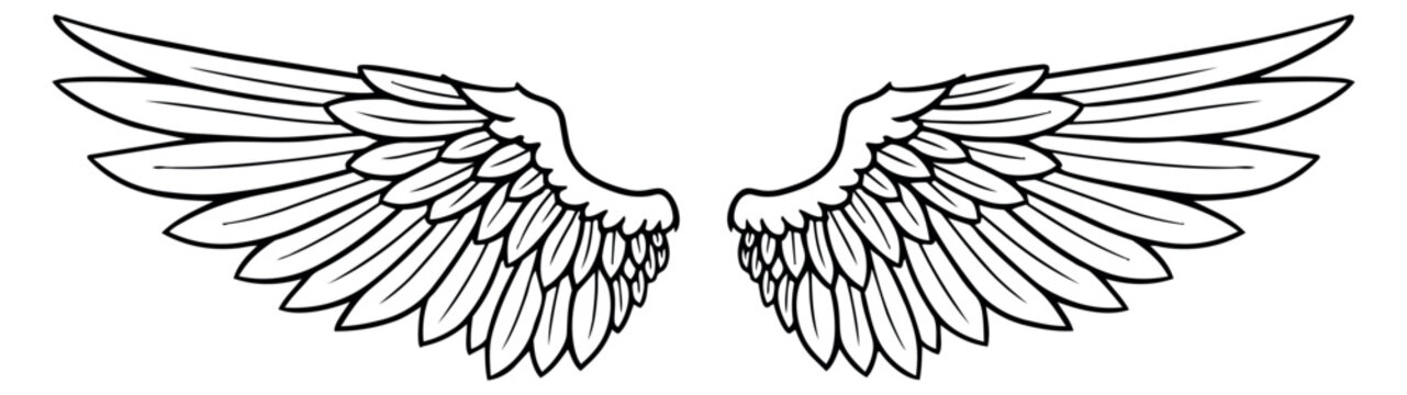 Line art illustration of a pair of wings depicting flight for various design projects