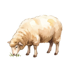 Watercolor-style sheep illustration／羊