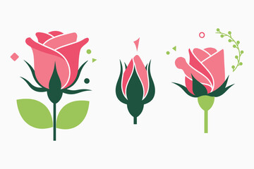 Pink rose flower illustrations with green leaves and decorative elements on white background