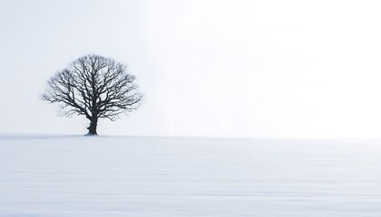 Lonely tree standing in a vast snowy landscape under a bright sky.