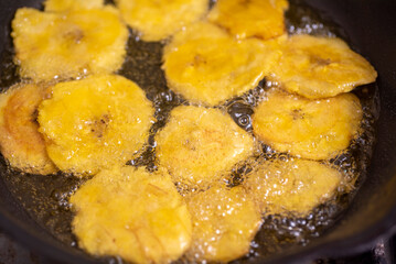 The green plantain is an immature tropical fruit, with a thick, hard, deep green skin, whose pulp is white, firm, dense and rich in starch, with a neutral or earthy flavor, ideal for cooking in savory © julioandres