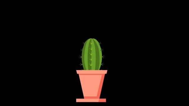 Minimal cactus plant in pot on dark background, flat design illustration, desert nature symbol, modern graphic element