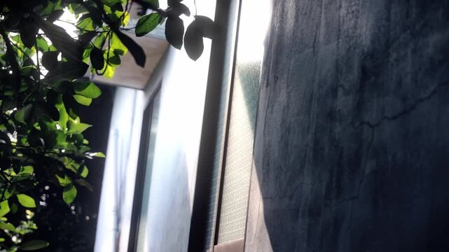 Bright sunlight shining through a patterned glass window next to a concrete wall and green leaves, creating a serene and minimalist atmosphere