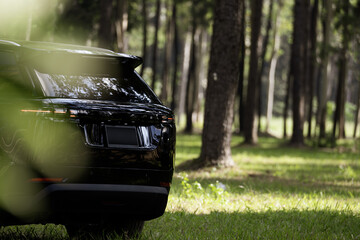 Travel and Freedom Concept with Car in Nature ,Electric vehicle of SUV with Copy Space in Green Nature