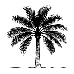 palm tree silhouette