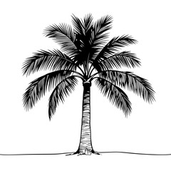 palm tree silhouette