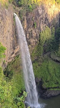 Waterfall Hidden in the Temperate Rainforest &ndash; Clip