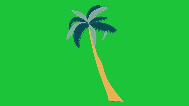 Animated palm tree swaying gently on green screen background. Tropical nature element for chroma key video projects.