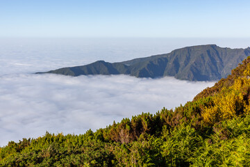 Misty mountain landscape in Madeira, Portugal. Lush green forest below foggy clouds. Scenic view of rural European island.