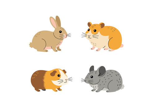 Cute small pets collection featuring domestic rabbit hamster guinea pig and chinchilla characters for children education design
