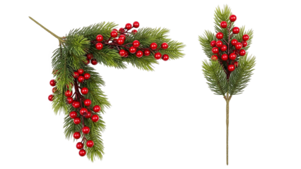 Festive Pine Branches With Red Berries For Holiday Decor