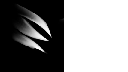 Dramatic abstract shapes in black and white with sharp shadows