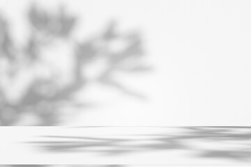 Wall interior background, studio and backdrops show products.with shadow from window color white and grey. background for text insertion and presentation product	