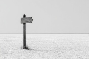 Simple Wooden Directional Sign In A Blank Landscape