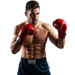Boxer preparing for a fight isolated on transparent background