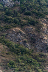Slope of the mountain covered with rocks