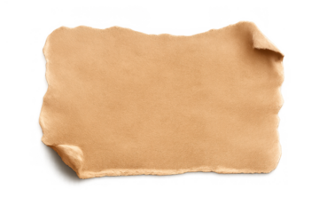 Blank old parchment paper with torn ragged edges and curled corners, vintage antique scroll texture background