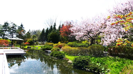 百合が原公園の瀋芳園