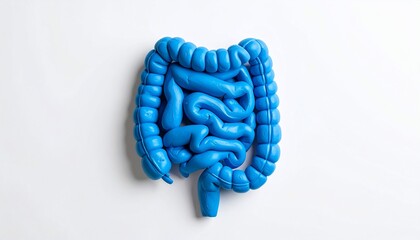 A blue, stylized anatomical model of the human intestines against a white background