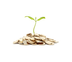 A small green plant is growing from a mound of shiny coins.